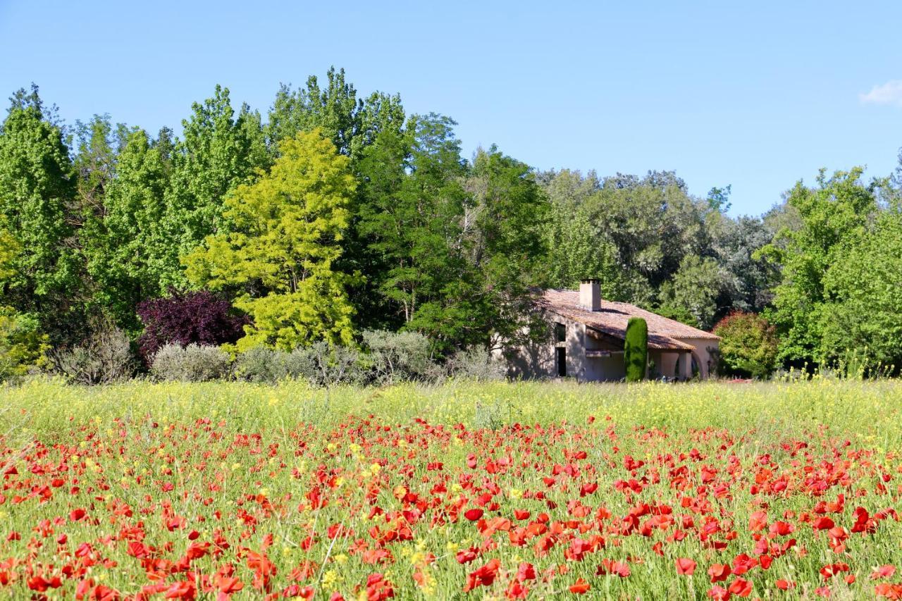 Villa Melodie St Remy 6Ha Piscine Saint-Rémy-de-Provence Exterior photo